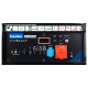 Генератор бензиновий 12 кВт EnerSol EPG-13000TEA