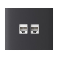 Фронтальна панель Ajax CenterCover (LAN) vertical graphite/графіт для інтернет-розетки Outlet (LAN)